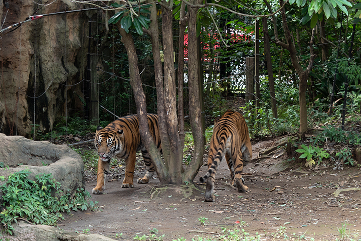 blog_pic01052.jpg