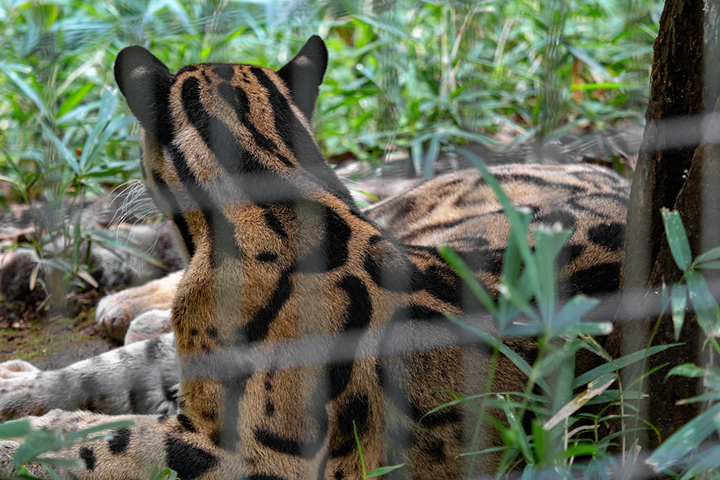 blog_pic01054.jpg