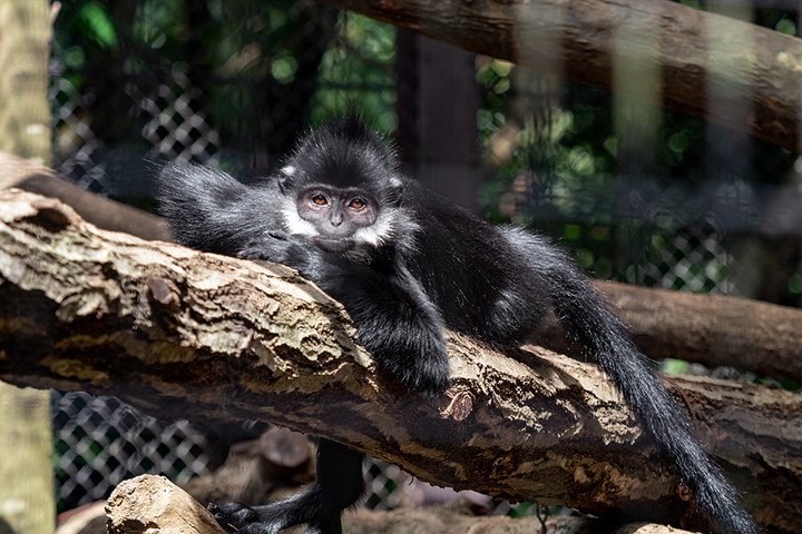 blog_pic01055.jpg