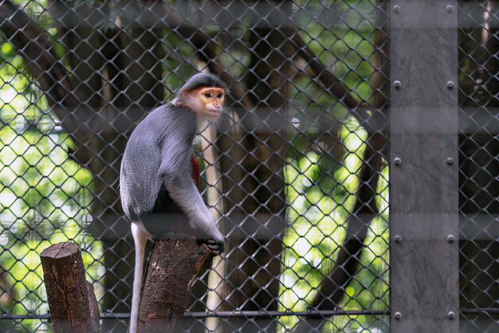blog_pic01056.jpg