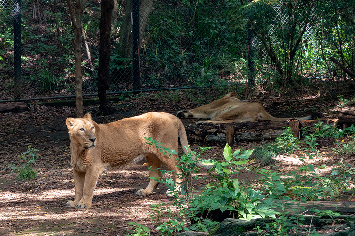 blog_pic01058.jpg