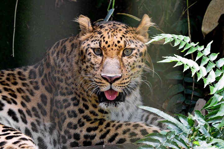blog_pic01059.jpg