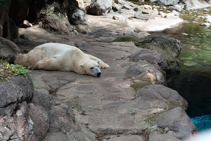 blog_pic01061.jpg