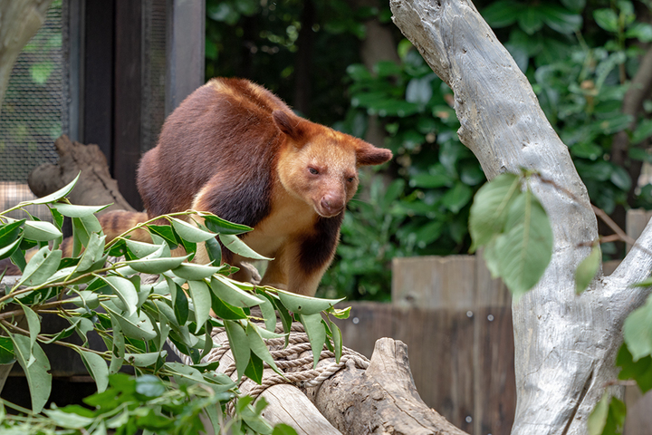 blog_pic01062.jpg