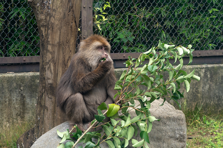 blog_pic01064.jpg