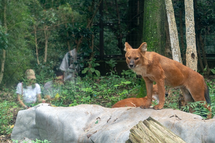 blog_pic01065.jpg