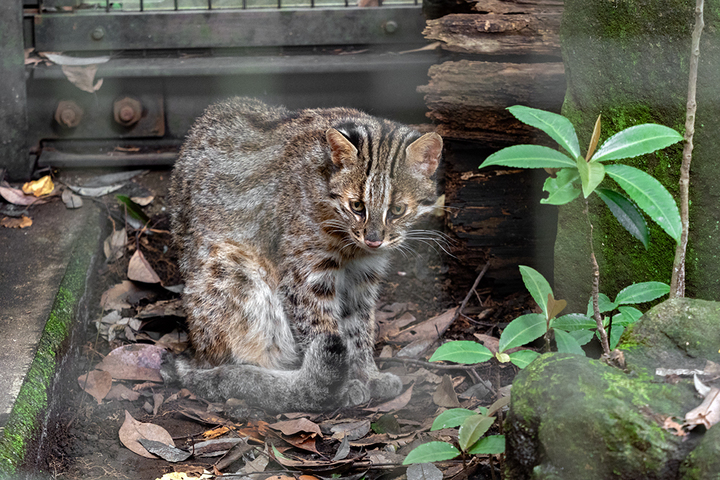 blog_pic01066.jpg