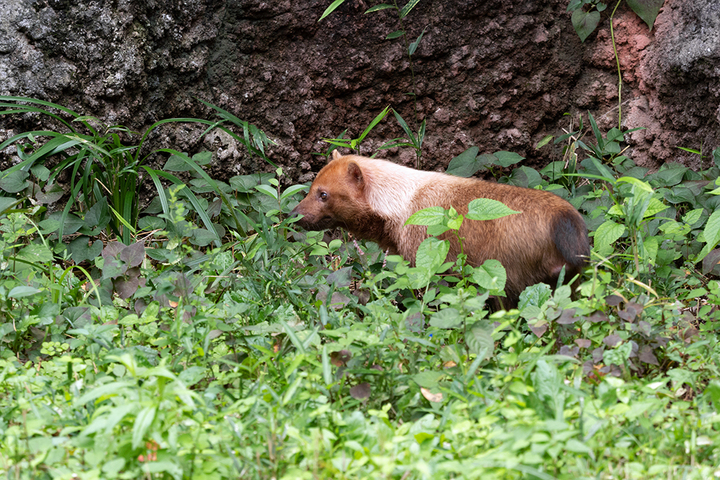 blog_pic01067.jpg