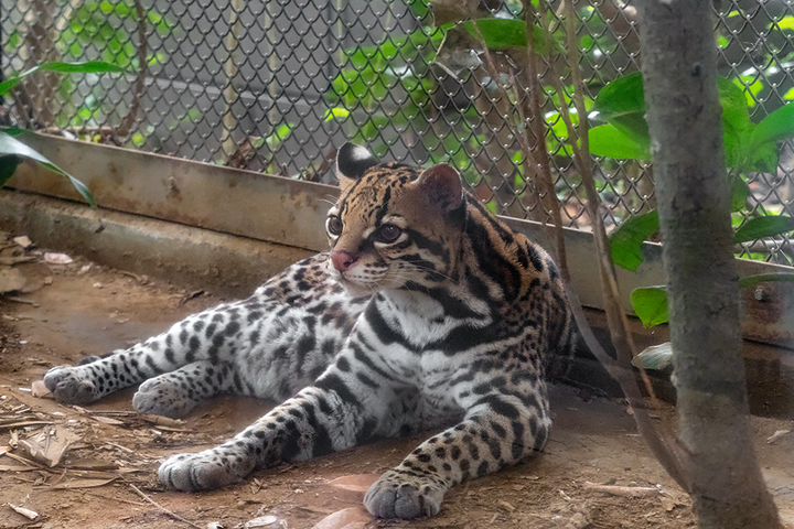blog_pic01068.jpg