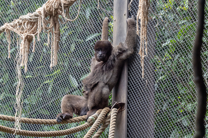 blog_pic01069.jpg