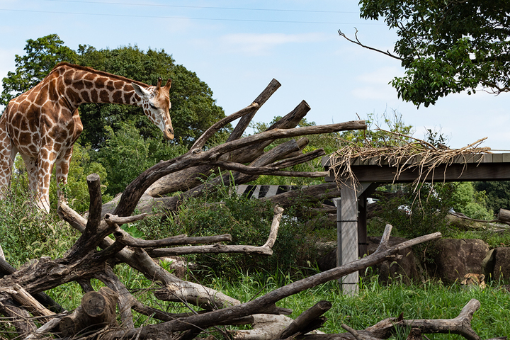 blog_pic01075.jpg