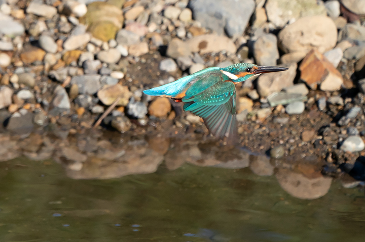 blog_pic01106.jpg
