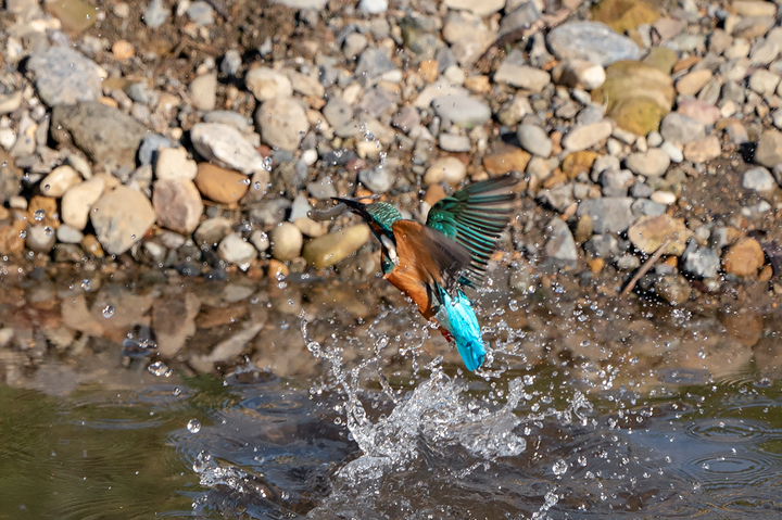 blog_pic01109.jpg