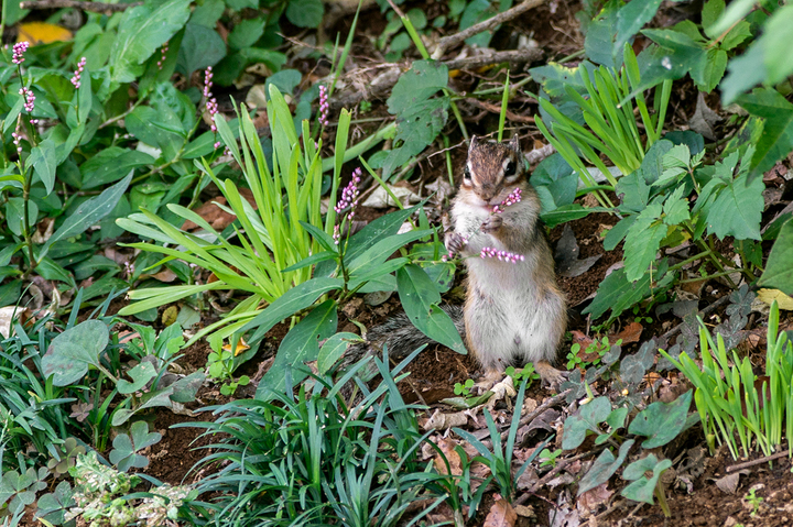 blog_pic01112.jpg