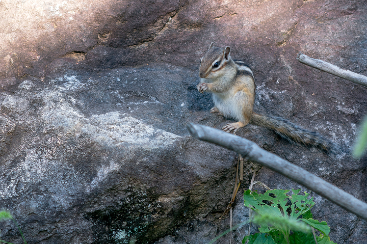 blog_pic01113.jpg