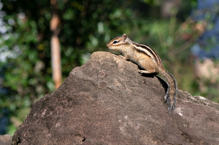 blog_pic01114.jpg