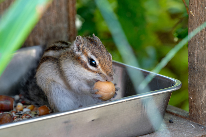 blog_pic01116.jpg