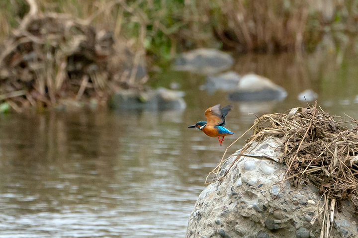 blog_pic01119.jpg
