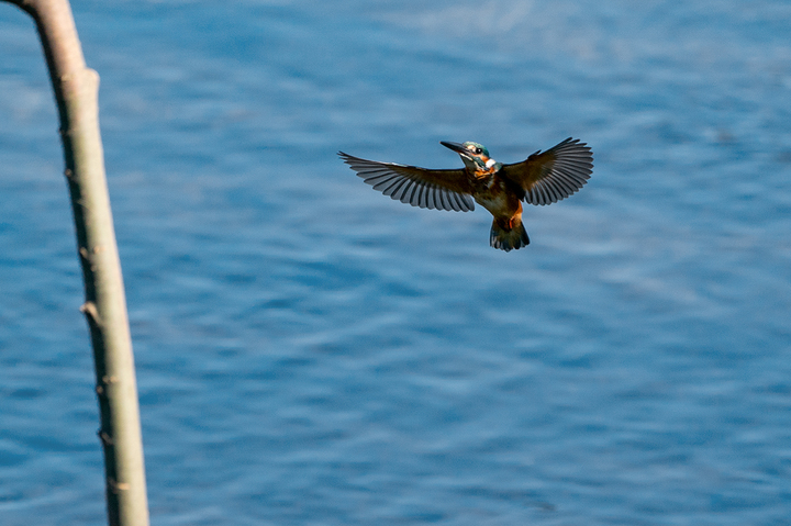 blog_pic01148.jpg
