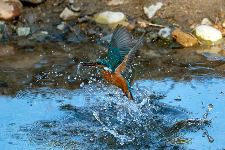 blog_pic01150.jpg