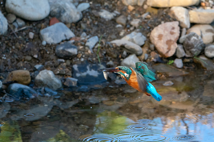 blog_pic01153.jpg