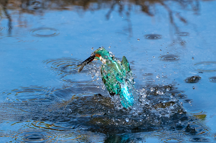 blog_pic01155.jpg