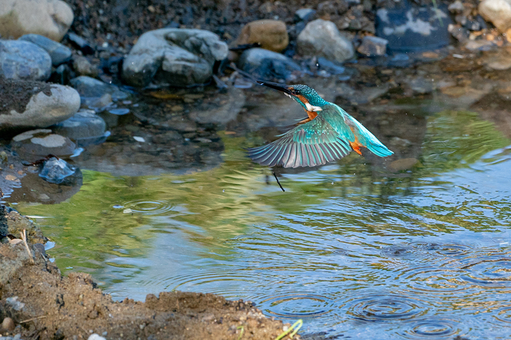 blog_pic01157.jpg