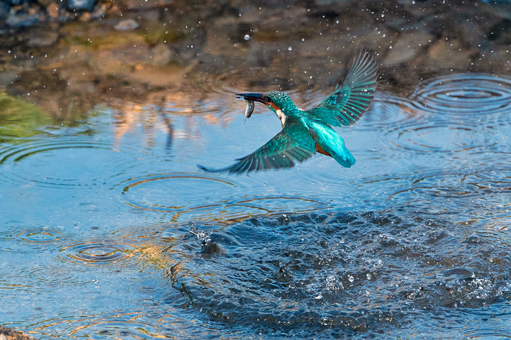blog_pic01158.jpg