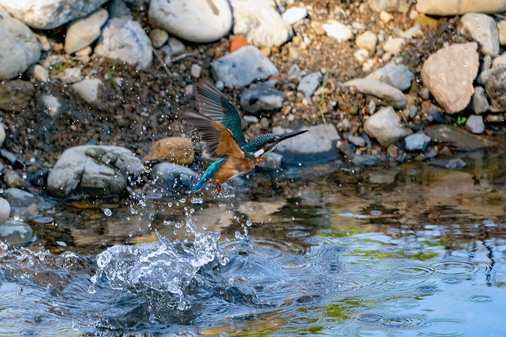 blog_pic01159.jpg