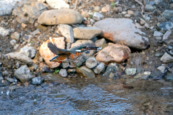 blog_pic01160.jpg