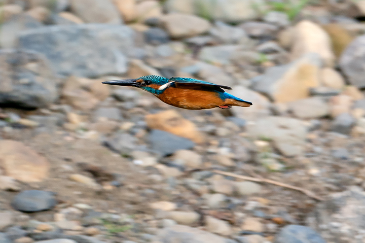 blog_pic01175.jpg