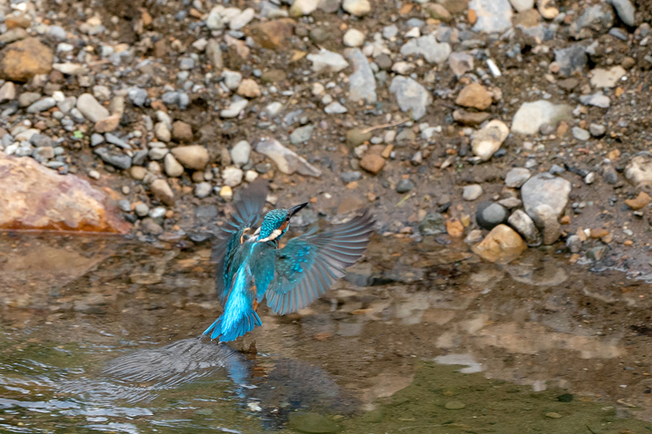 blog_pic01176.jpg