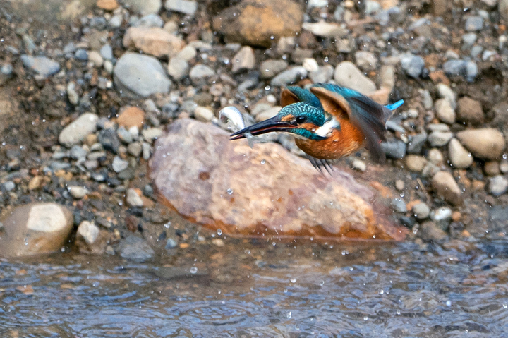 blog_pic01177.jpg