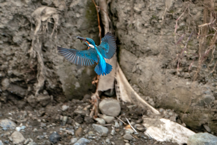 blog_pic01178.jpg
