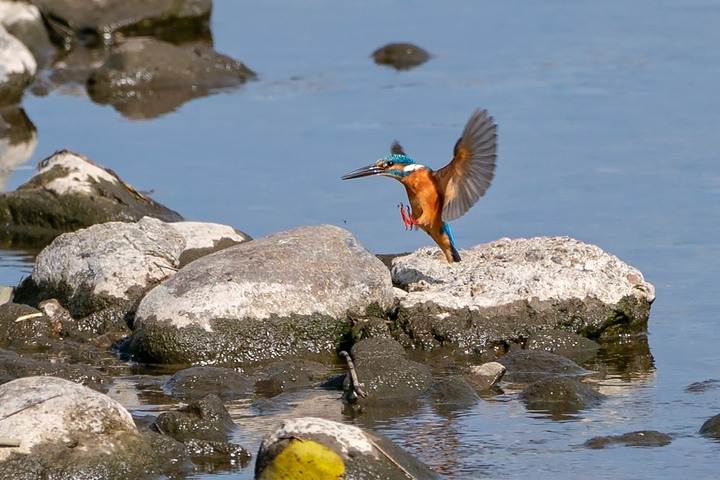 blog_pic01179.jpg