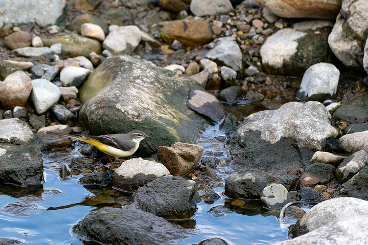 blog_pic01182.jpg