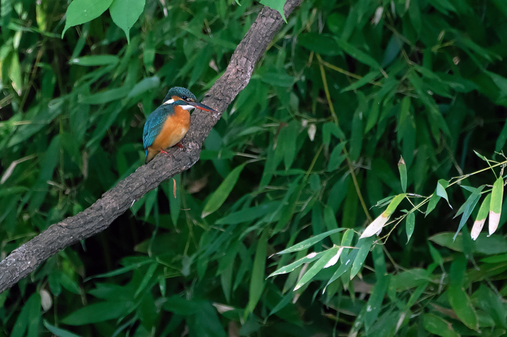blog_pic01183.jpg