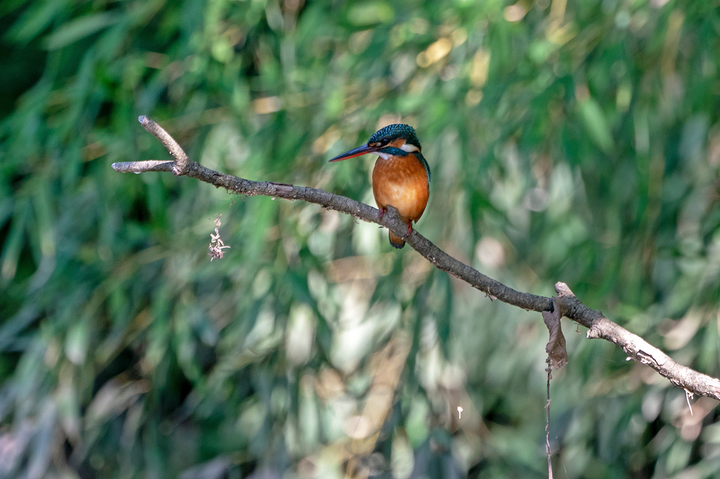 blog_pic01184.jpg