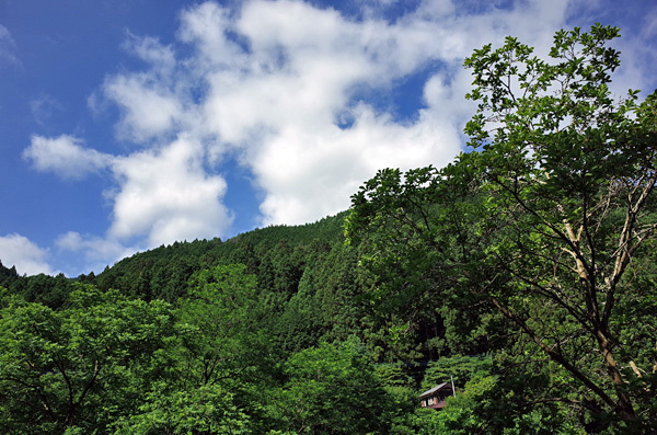 blog_pic13462.jpg