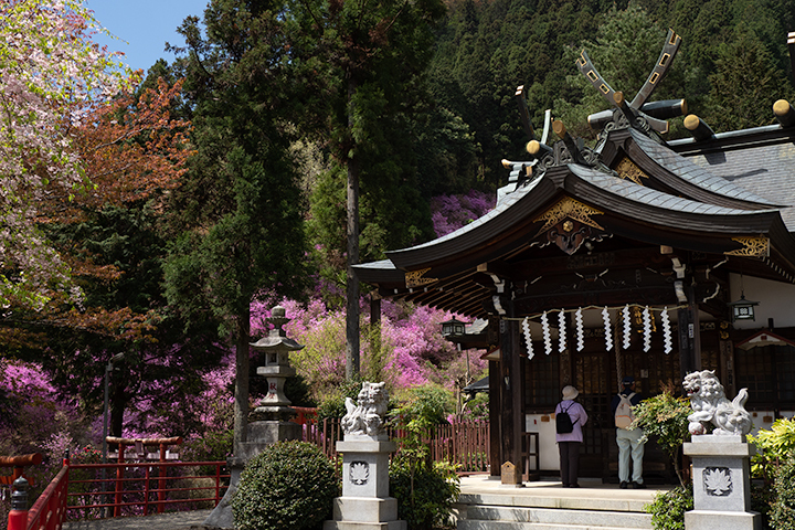 blog_pic00489.jpg