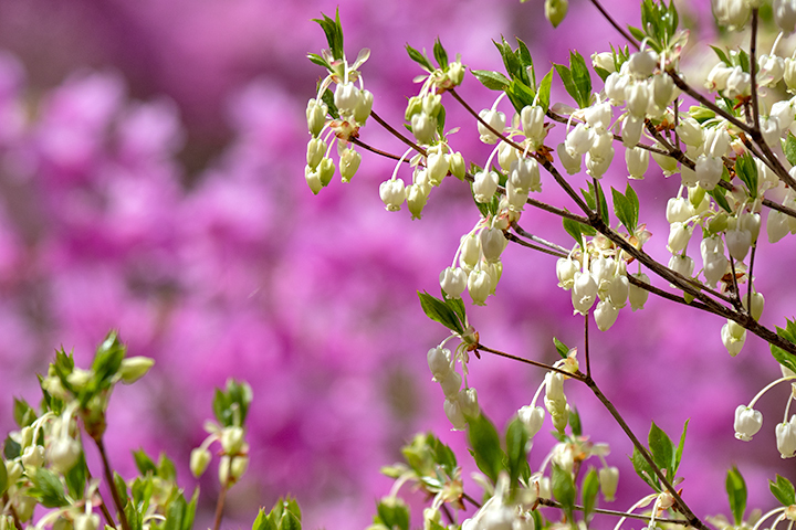 blog_pic00491.jpg
