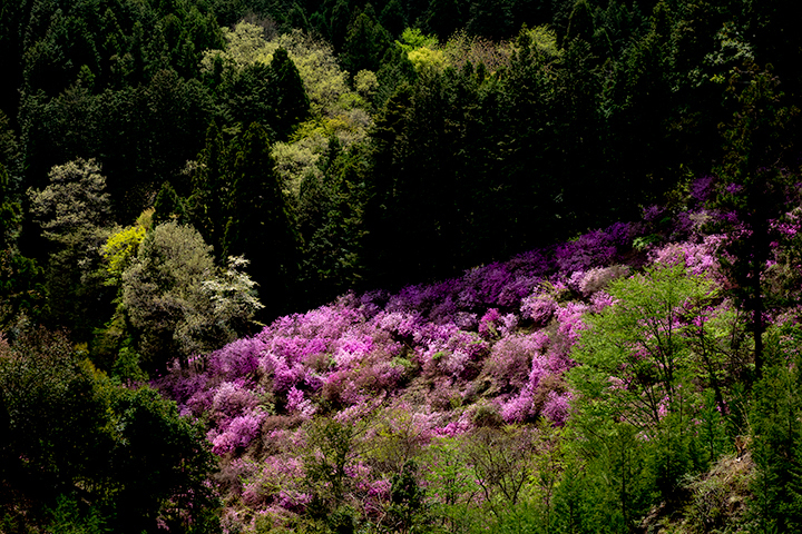 blog_pic00492.jpg
