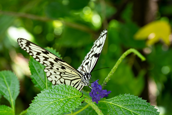 blog_pic00623.jpg