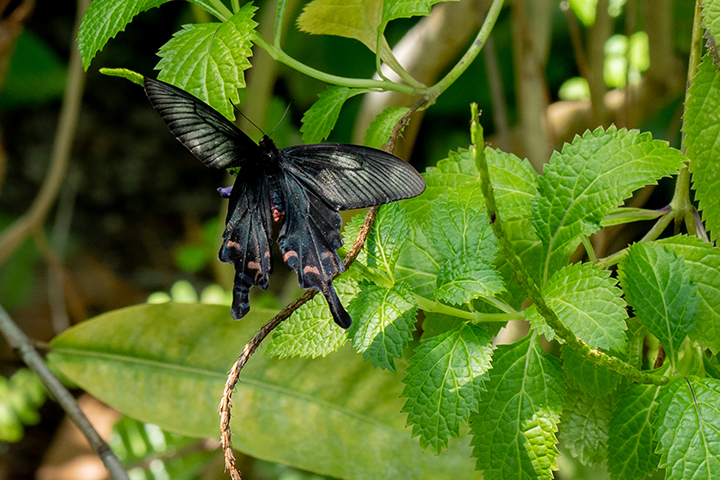 blog_pic00625.jpg