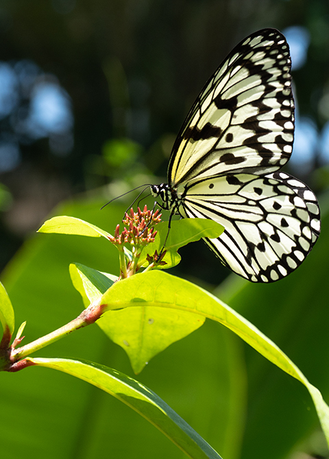 blog_pic00626.jpg