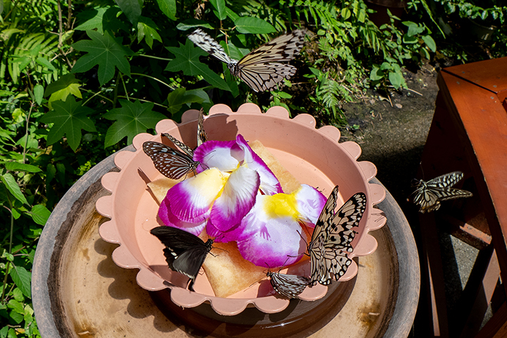 blog_pic00628.jpg