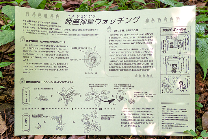 blog_pic00668.jpg