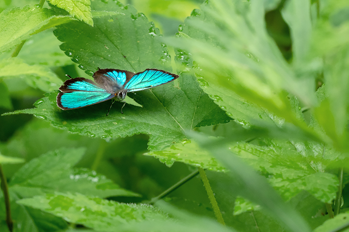 blog_pic00688.jpg