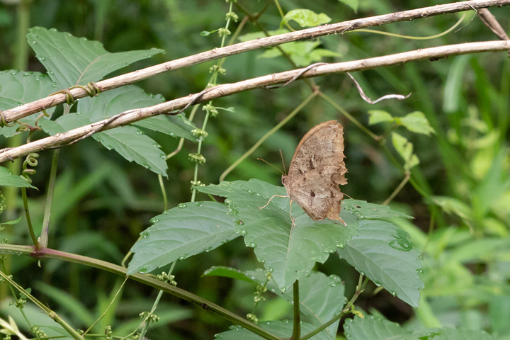blog_pic00689.jpg
