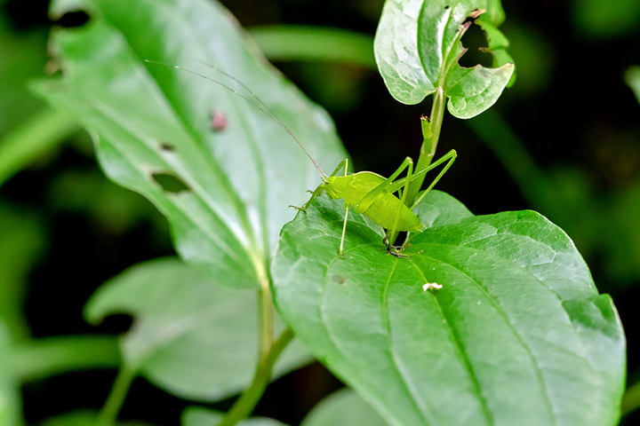 blog_pic00690.jpg
